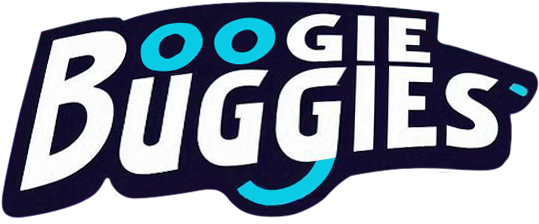 BoogieBuggies.com - your personalized event ride-share ride!